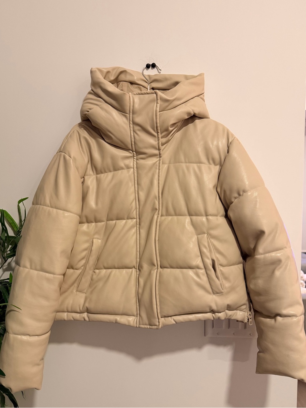 Dynamite Cream Beige Puffer Jacket with Hood